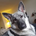 Mel Howard - @melanie.howard.908 - Instagram
