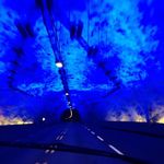 Mel Humphreys - @claude.carthago - Instagram