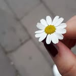 melek han - @melk_han - Instagram