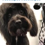 Mel Knight - @melissaknight480 - Instagram