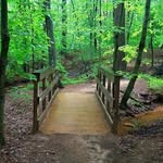 Melissa Laird Ranalli - @melissa.ranalli.7 - Instagram