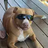 Mel Lloyd - @mel.lloyd8 - TikTok