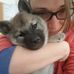Mel Lloyd - Facebook