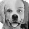 Mel Lloyd - @mel.lloyd34 - TikTok