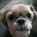 Mel Major - Facebook
