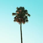Mel Mayfield - @sea_me_photography - Instagram