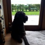 Mel Mcgee - @melmcgee3 - Instagram