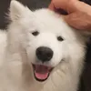 Mel McGee - @mel.mcgee - TikTok