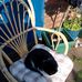 Mel Morse - Facebook