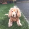 Mel Norris - @mel.norris68 - TikTok