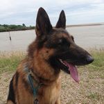Mel Page - @mel.page.338 - Instagram