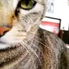 Mel Page - @melapage - TikTok
