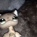 Melody Parker - @mel._.parker - Instagram