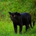 Mel Patterson - Facebook