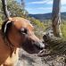 Mel Perry - Facebook