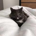 Mel Ray - @melray33 - Instagram