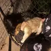 Melinda Reynolds - @mell.weirdol - TikTok