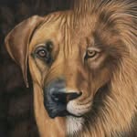@mel.rhodesianridgeback - Instagram