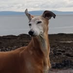 Melanie Rhodes - @melr.hodes - Instagram