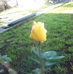 Mel Russell - Facebook