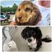 Mel Sanders - Facebook