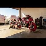 Mel Shepherd - @orchidsignco - Instagram