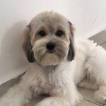 Mel🐾 - @melshippo - Instagram