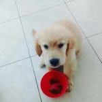 Mel Simon de Oliveira - @melsimonde - Instagram