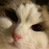 Mel Simpson685 - @melsimpson685 - TikTok