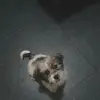 Mel Sims - @mel.sims6 - TikTok