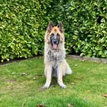 Mel Small - @mel.small.336 - Instagram