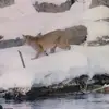 snidermel vinovfgij - @snidermel.vinovfg7 - TikTok