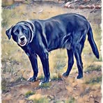 Mel Snodgrass - Facebook