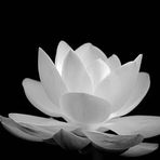 Melissa Snyder - Facebook