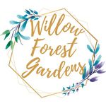 Mel Solomon - @willow_forest_gardens - Instagram