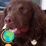 Mel Steele - @melp2507 - Instagram