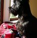 Mel Stephens - Facebook