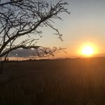 Mel Stephens - @born_in_a_sheep_barn - Instagram