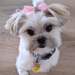 Mel Stephenson - @melstephenson57 - Instagram