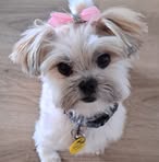 Mel Stephenson - Facebook