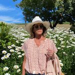 Melanie Stern Schwartz - @melsternschwartz - Instagram