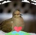 Melanie E. Stratton - Facebook