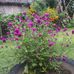 Sylvester Mel - Facebook