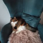 Mel Be - @melanie.tapper.7 - Instagram