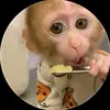 Mel - @mel..tate - TikTok