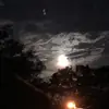 Mad - @meltatum123 - TikTok