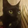 meltay92 - @meltay92 - TikTok