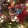 ☃️🎅🎄Merry_Christmas🎄🎅☃️ - @mel_tay7 - TikTok