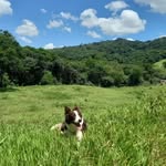 Mel 🐶😍 - @tenentemel - Instagram