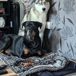 Mel Timms - @timmsmel - Instagram